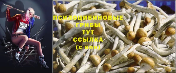 трава Валуйки