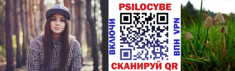 Галлюциногенные грибы мицелий  купить наркотик  Люберцы 