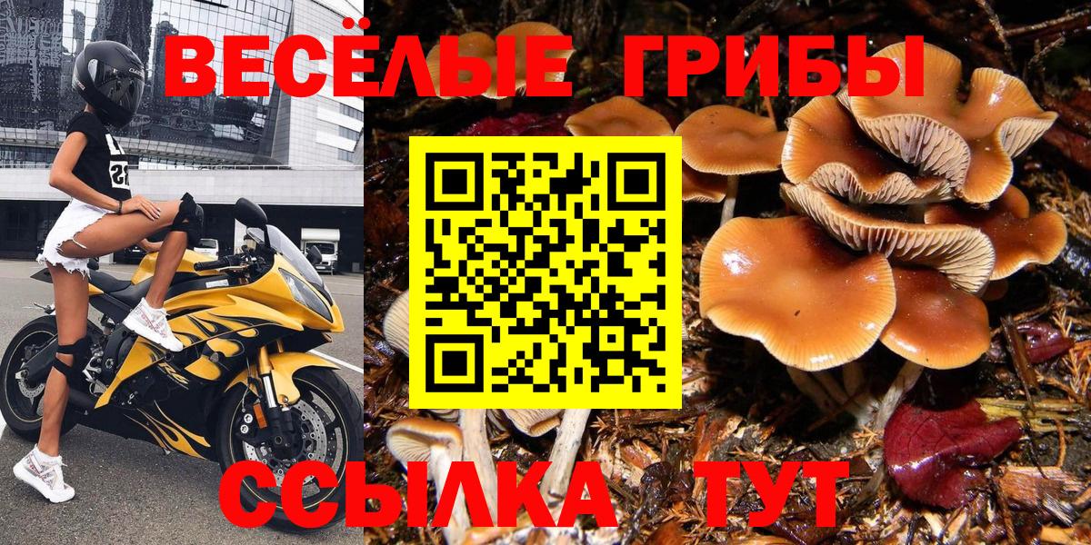 ГАШ  ГАШ  Люберцы  Марихуана  ТГК  Вход с VPN  COCAIN  Меф МЯУ МЯУ кристаллы 