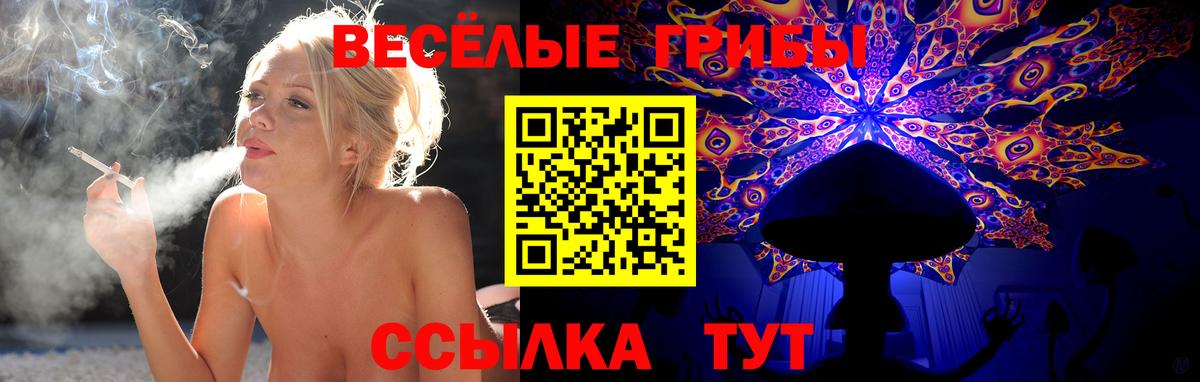 Галлюциногенные грибы Magic Shrooms Люберцы